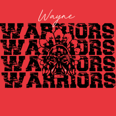 WAYNE WARRIOR SPIRIT BOXES