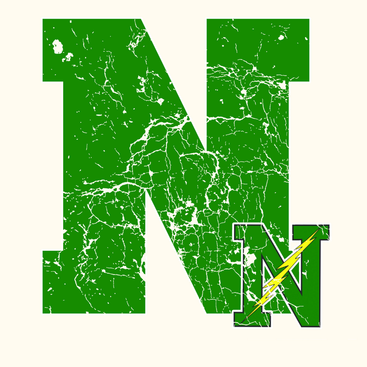Northmont Youth or Adult  Graphic Pullovers