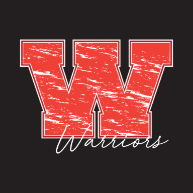 WAYNE WARRIOR SPIRIT BOXES