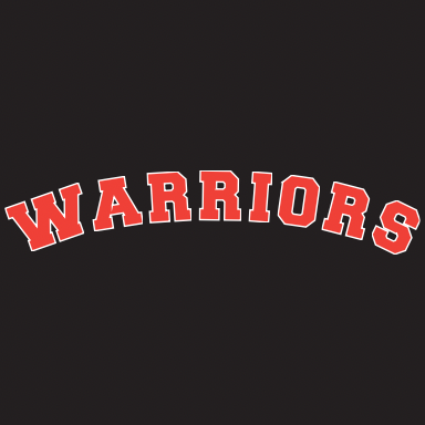 WAYNE WARRIOR SPIRIT BOXES