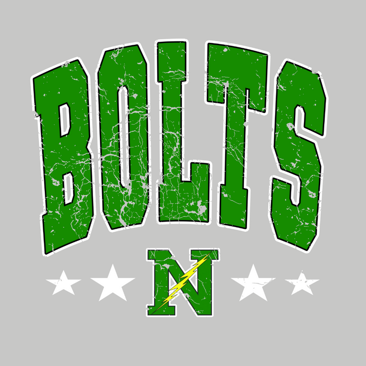 Northmont Youth or Adult  Graphic Pullovers
