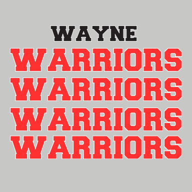 WAYNE WARRIOR SPIRIT BOXES
