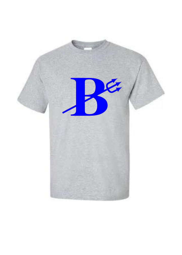 Brookville Logo Graphic Tee or Pullover